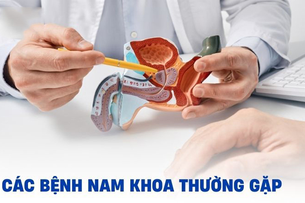 Bệnh nam khoa thường gặp và địa chỉ khám chữa ngoài giờ có bác sĩ giỏi tại Đắk Lắk