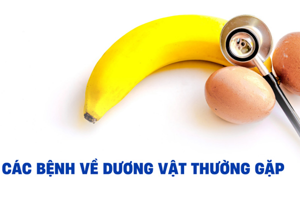 Những bệnh thường gặp ở dương vật nam giới không nên chủ quan