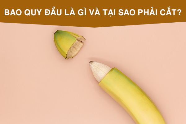 Bao quy đầu là gì và tại sao phải cắt? Bác sĩ tư vấn chi tiết