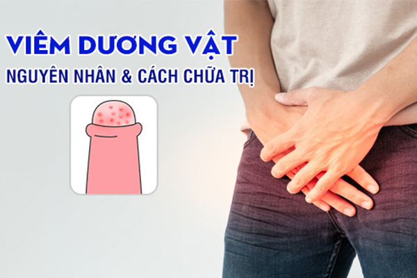 Nguyên nhân và cách điều trị viêm dương vật hiệu quả