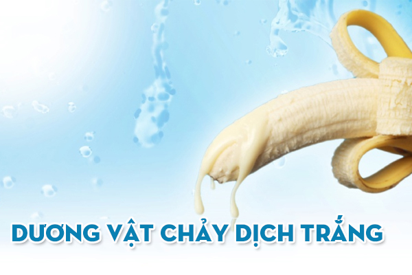 Dương vật ra dịch trắng – Triệu chứng nam giới không nên xem nhẹ